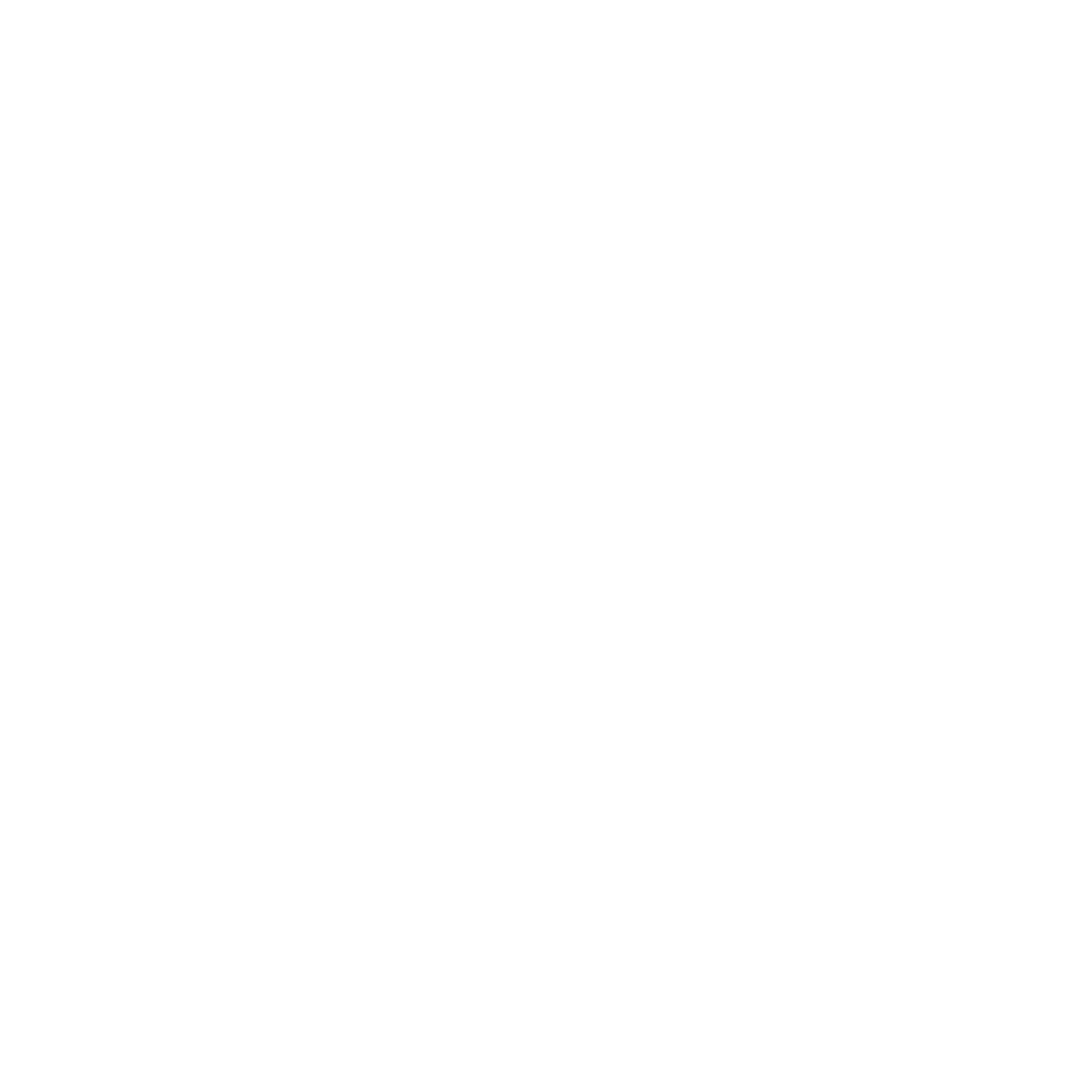 Daniel Duzzi